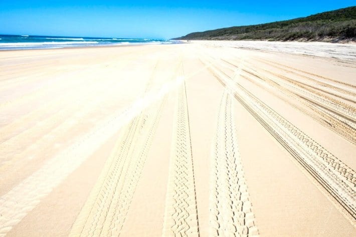 tire tracks in the sand on 75 Mile Beach - 