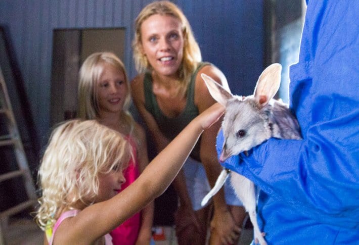 young girl petting Bilby while family look on