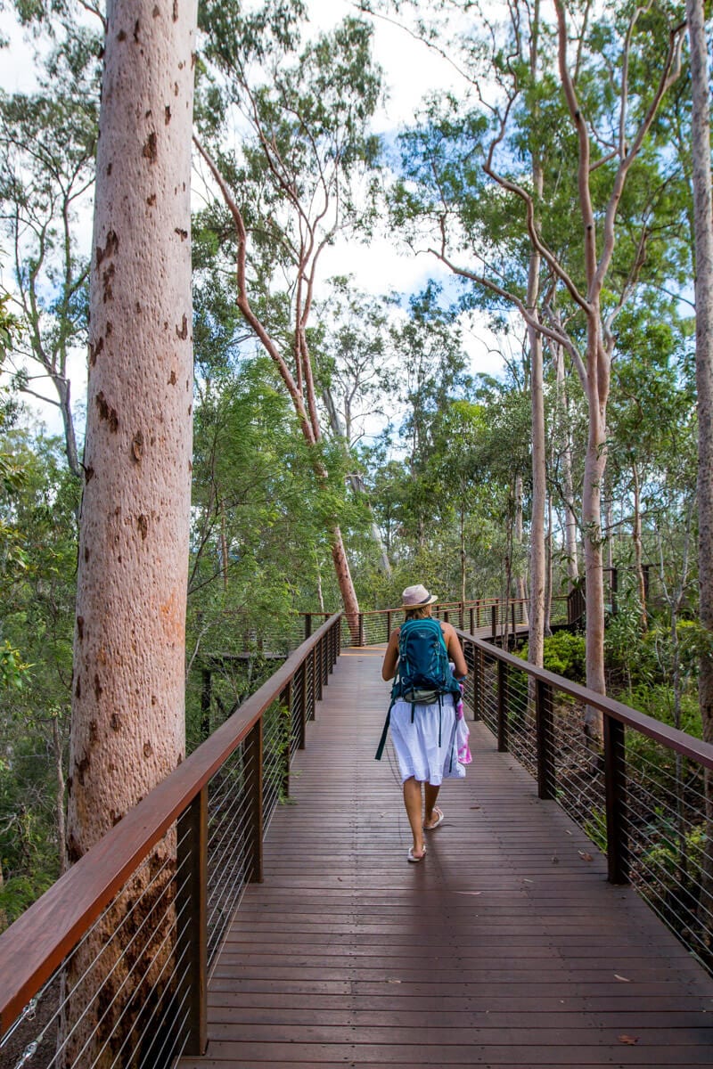 Robelle Domain - things to do in Ipswich, Queensland
