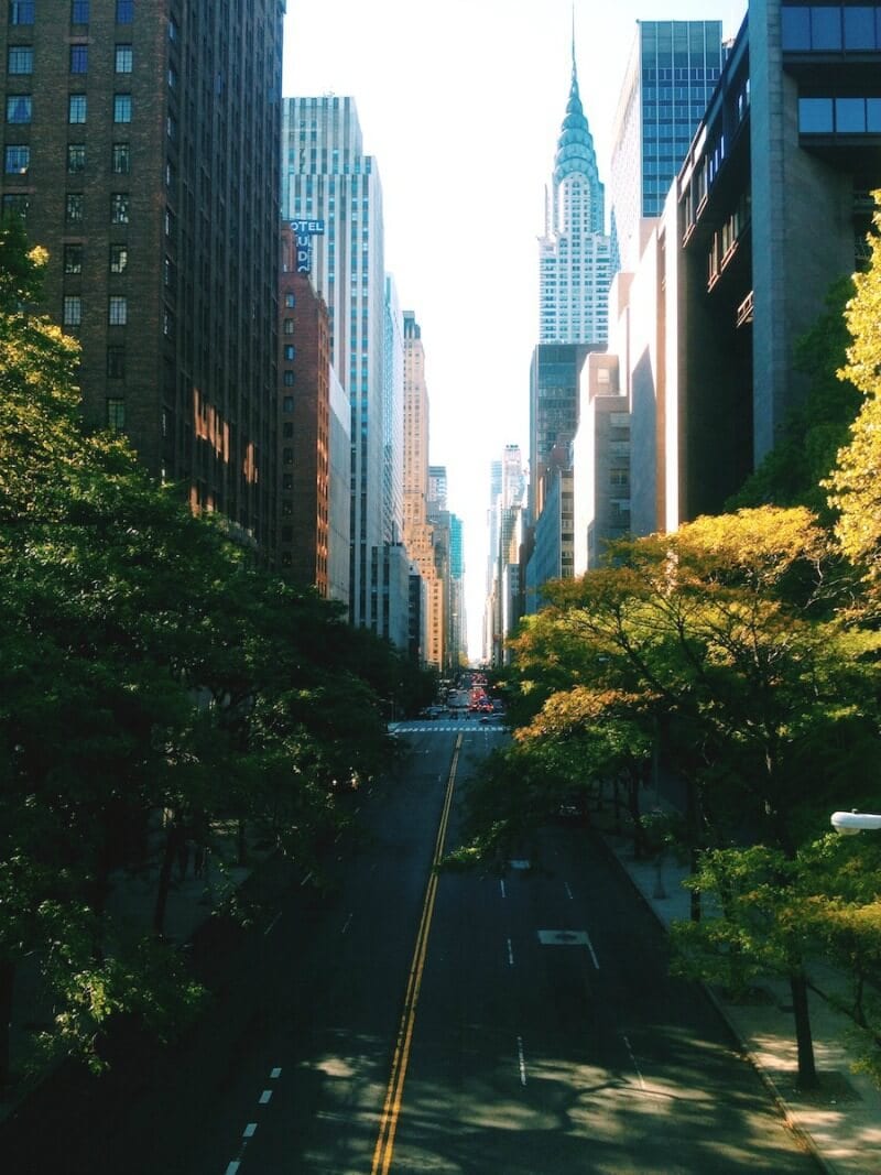 view of tree lined street in new york