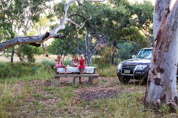 family having a picnic in the bush beside car