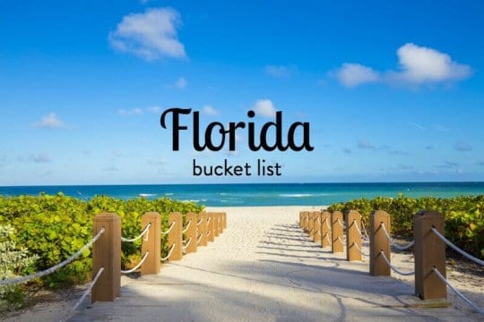 What are the best things to do in Florida?