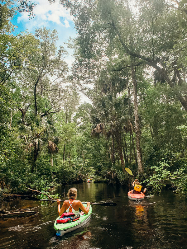 family kayaking wacissa river north florida