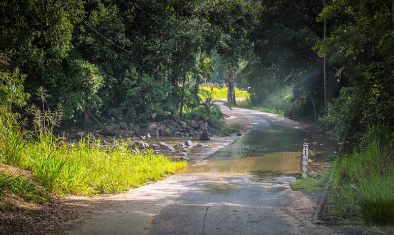 creek crossing road in jungle