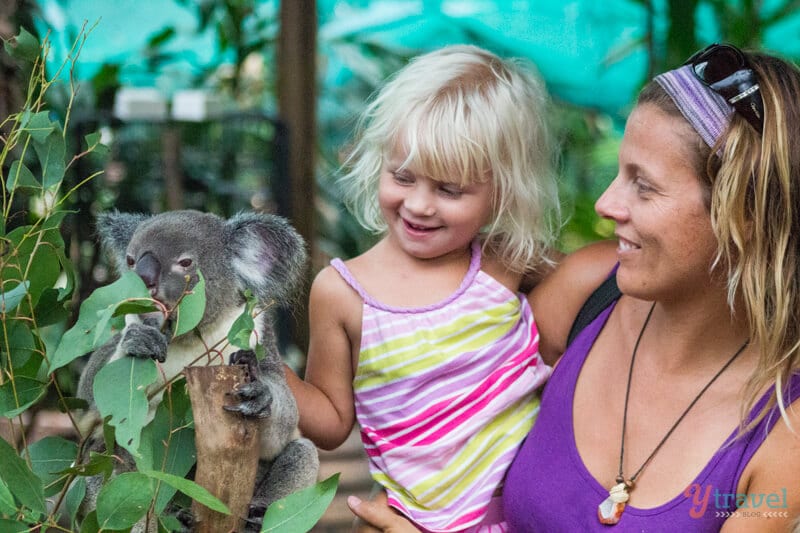 little girl patting a koala