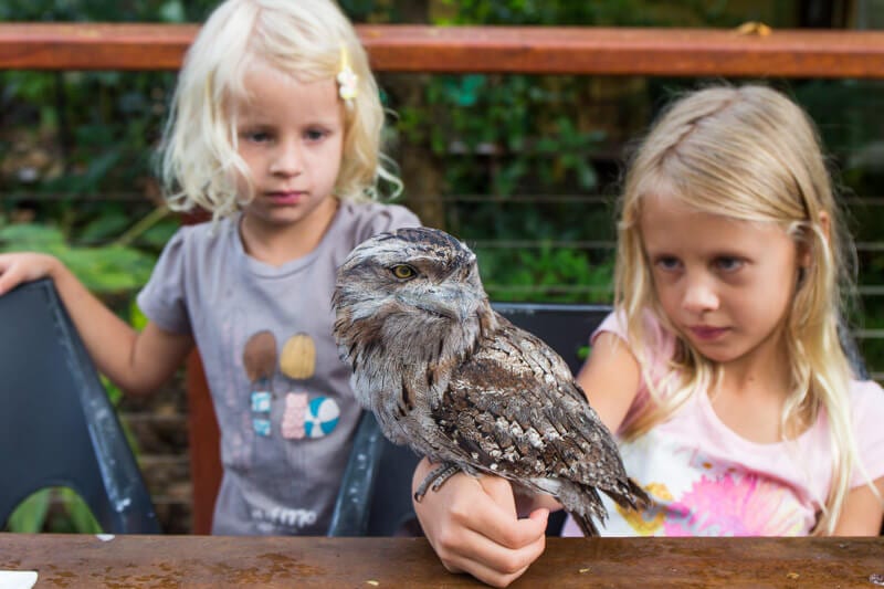 girls holding an owl