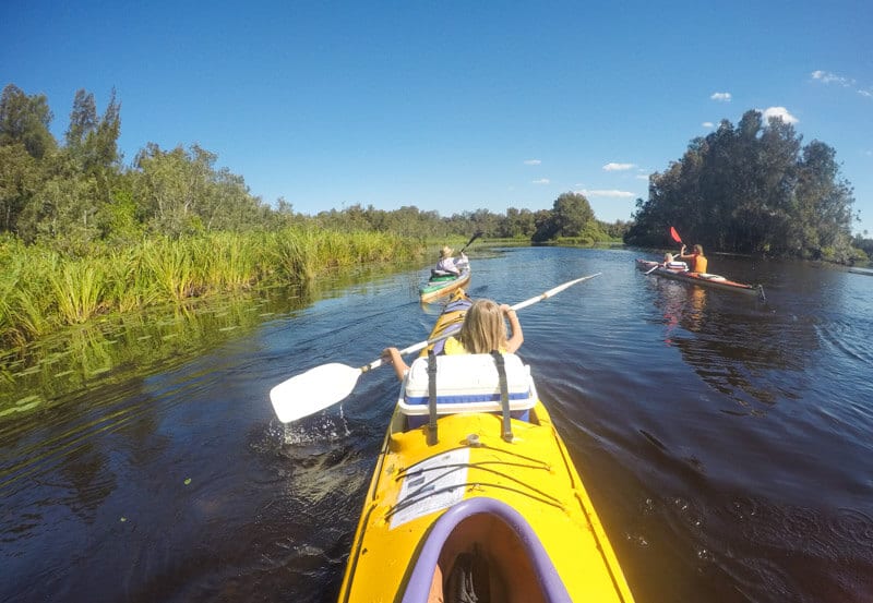 Kayaking in the Noosa Everglades, Queensland, Australia