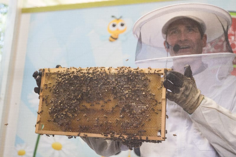 man holding hive of bees