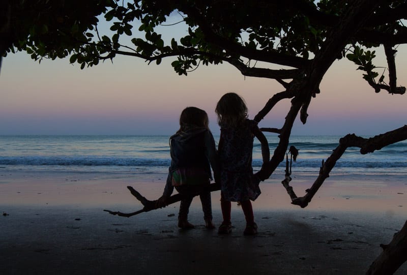 sillouhette of girls sitting on tree branch on beach at sunset