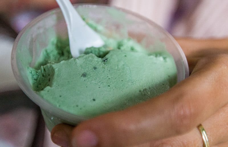 Taste some Floravilla Ice Cream in the Daintree Rainforest