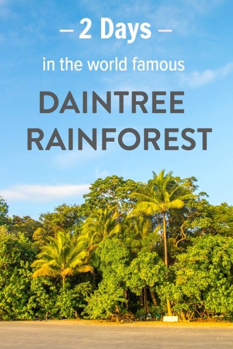 How to spend 2 days in Australia's famous Daintree Rainforest - what to see & do and where to stay!