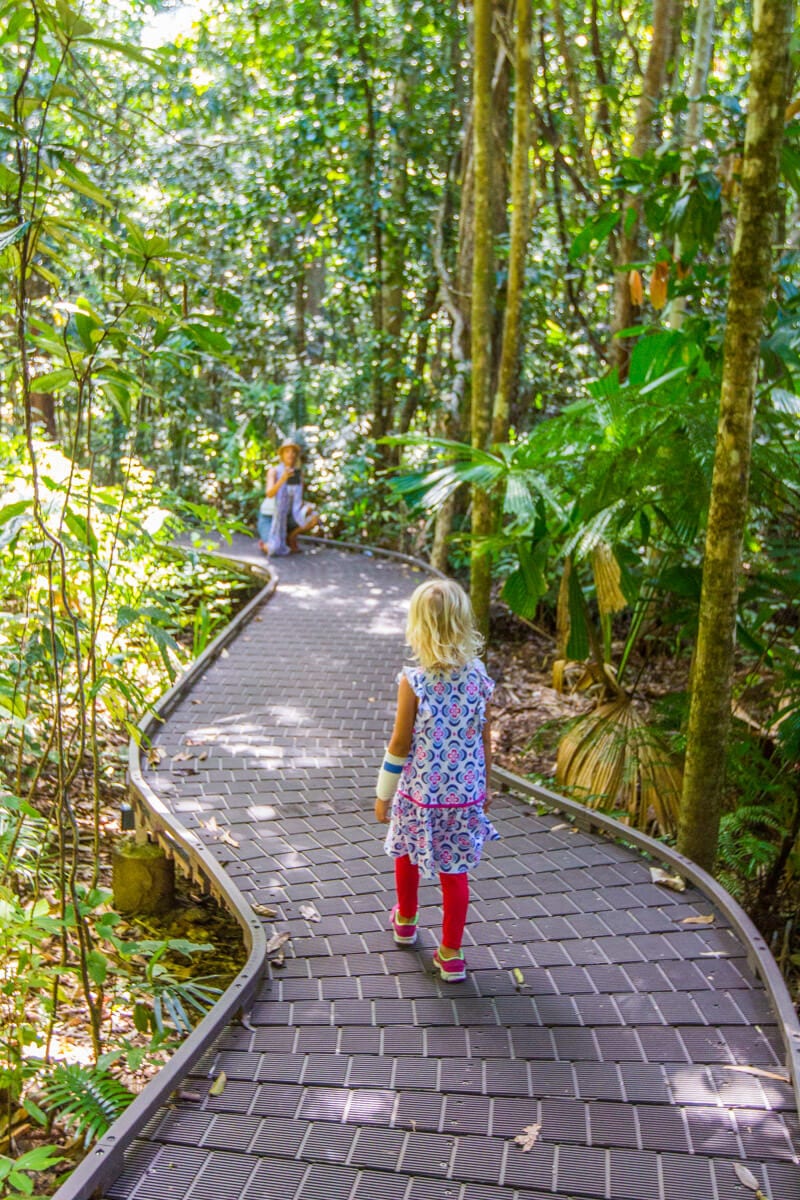 Dubuji Boardwalk - Daintree Rainforest, Queensland, Australia