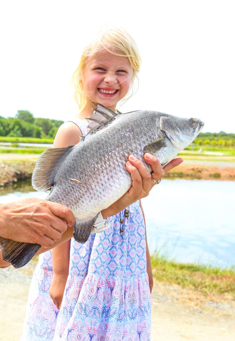 girl smiling beside a huge Barramundi fishi she caught