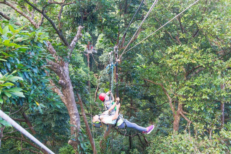 two girls on the Jungle Surfing (zip lining) in the Daintree Rainforest of Queensland, Australia