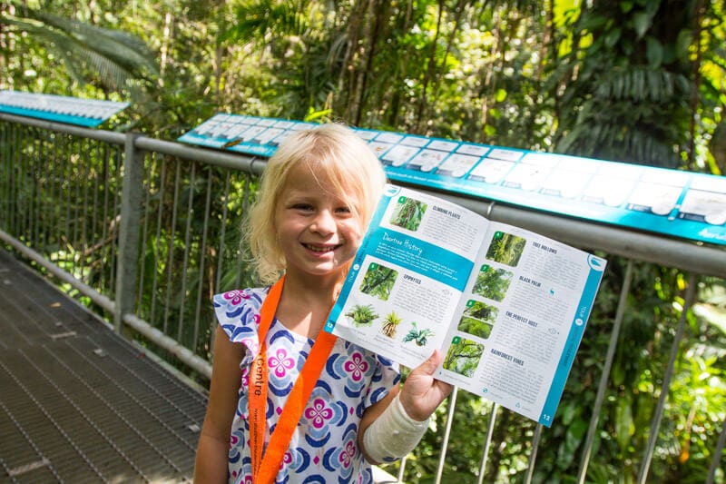 Learn about the Daintree Rainforest at the Daintree Discovery Centre