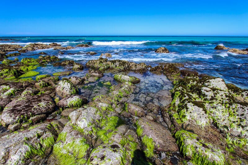 green moss covered rocks on Friendly Beaches -