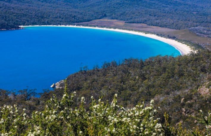 curving Wineglass Bay 