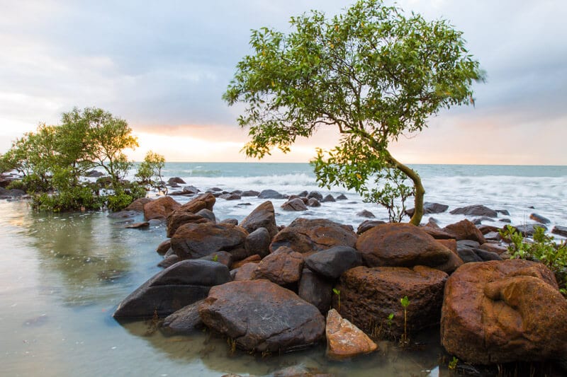 See the sunrise at beautiful Four Mile Beach in Port Douglas, Queensland, Australia