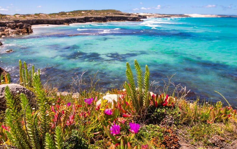 Sleaford Bay on the East Coast of the Eyre Peninsula is a good stopover on your road trip with kids in South Australia. Click to read more tips on things to do on the Eyre Peninsula