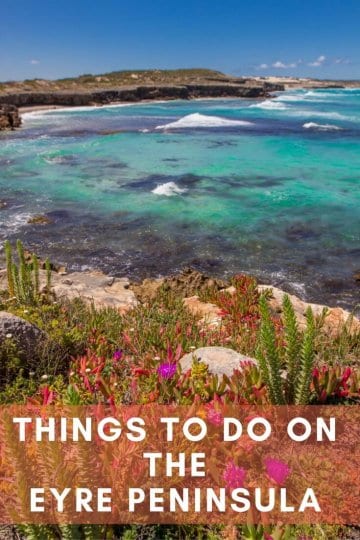 6 day itinerary for a road trip with kids on the Eyre Peninsula in South Australia. Click to read highlights and things to do on the Eyre Peninsula