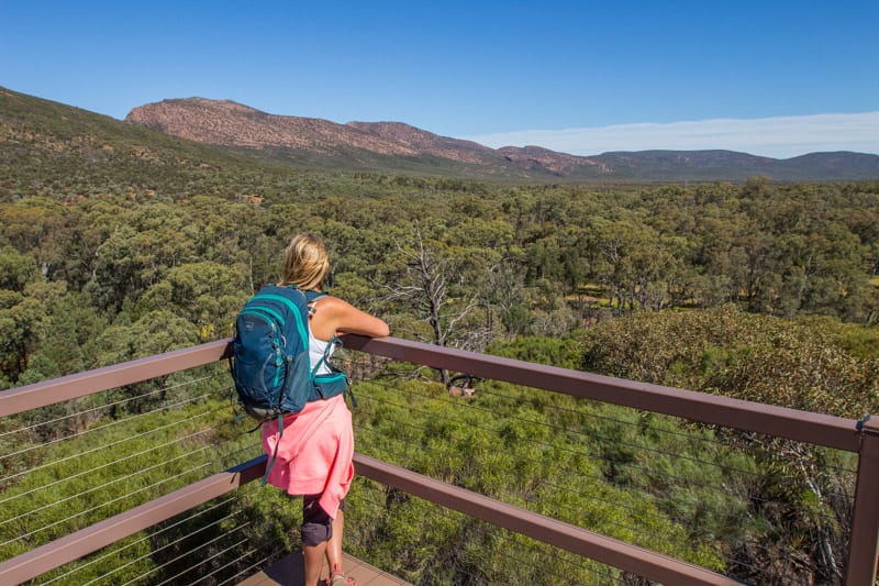 Wangarra Lookout is a great hike to do with kids in Wilpena Pound. The Ikara Flinders Ranges National Park is one of the best places to visit in Australia. It has plenty of great hikes for kids. Click to read more about this beautiful region to visit in South Australia.