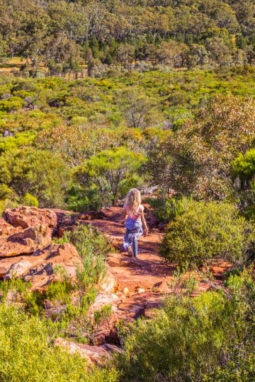 Wangarra Lookout is a great hike to do with kids in Wilpena Pound. The Ikara Flinders Ranges National Park is one of the best places to visit in Australia. It has plenty of great hikes for kids. Click to read more about this beautiful region to visit in South Australia.