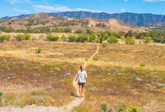 The Ikara Flinders Ranges National Park is one of the best places to visit in Australia. Click to read more about this beautiful region to visit in South Australia.