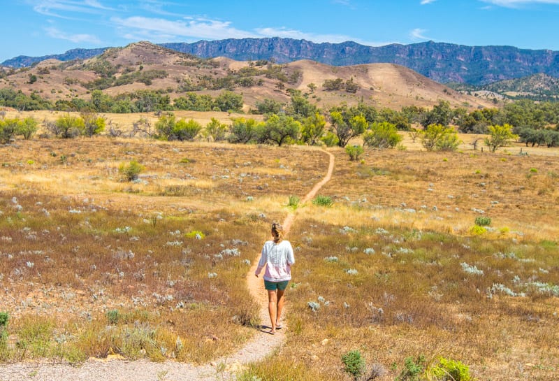 The Ikara Flinders Ranges National Park is one of the best places to visit in Australia. Click to read more about this beautiful region to visit in South Australia.
