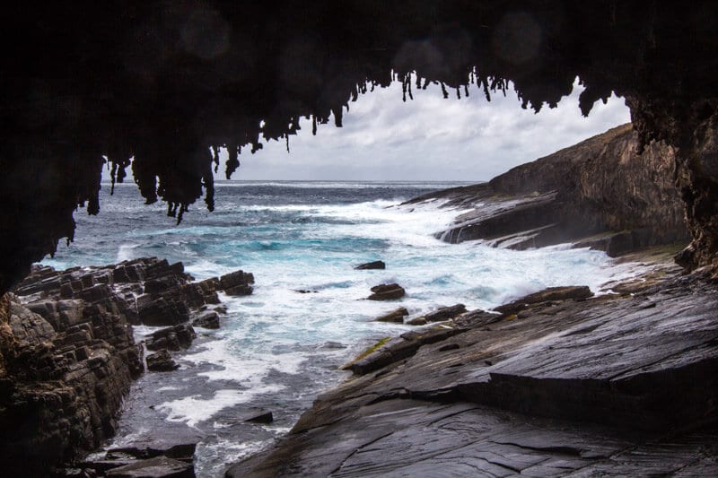 Admiral's Arch in the Flinders Chase National Park is a highlight of a road trip to Kangaroo Island. Click to read more