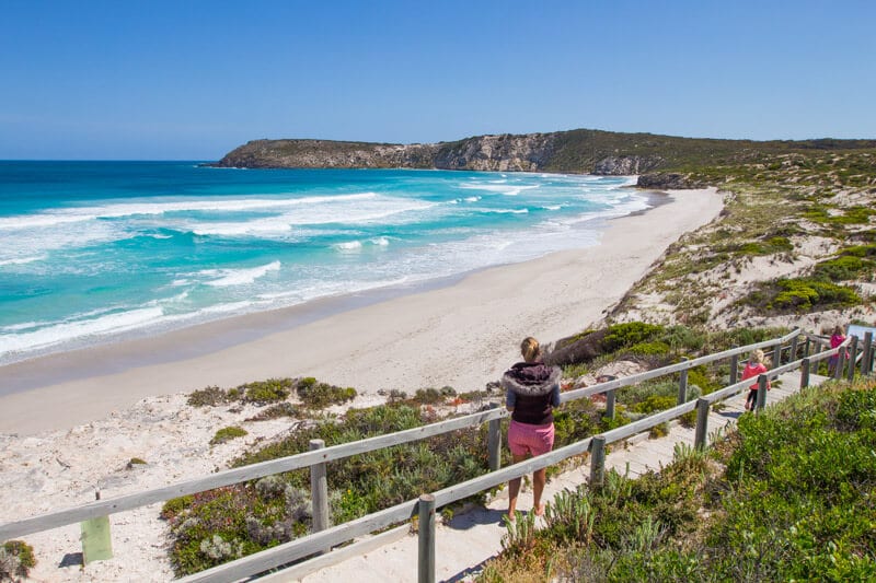  Pennington Bay is one of the best beaches on Kangaroo Island. Click to read more tips
