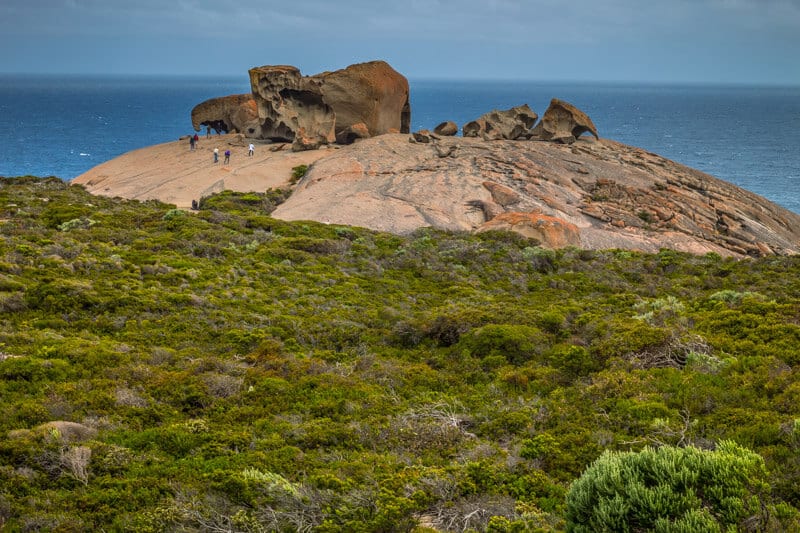 Remarkable Rocks in the Flinders Chase National Park is a highlight of Kangaroo Island. Click to read more things to do on a Kangaroo Island road trip