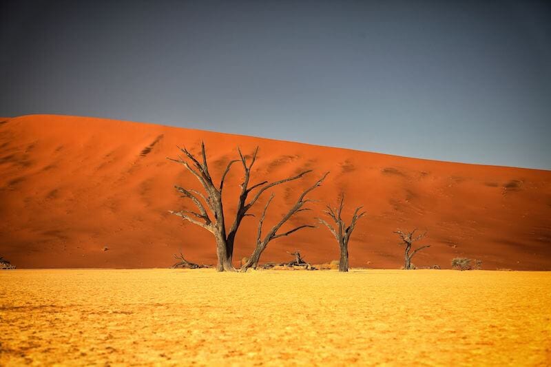 Sossusvlei sand dunes, Namibia, Africa