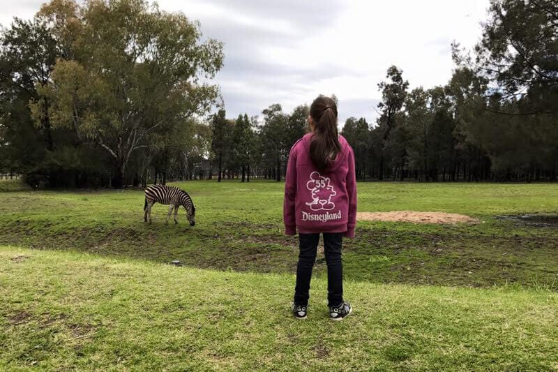 The Taronga Western Plains Zoo is one of the best things to do in Dubbo with kids