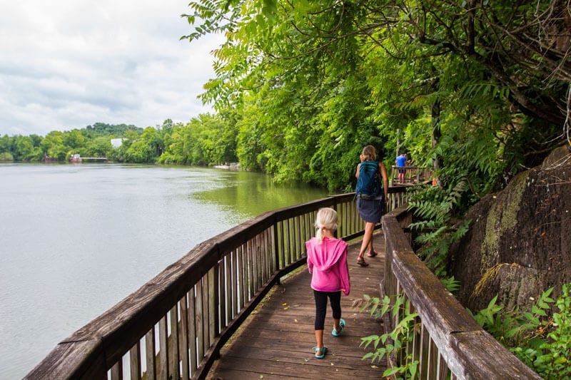 Take a walk at the Ijams Nature Center - one of the best outdoors things to do in Knoxville, Tennessee