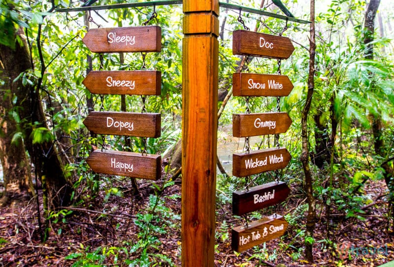 signs in a forest