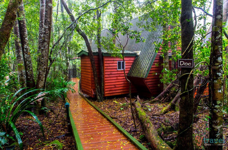 The Mouses House Rainforest Retreat - Gold Coast Hinterland Accommodation, Queensland, Australia