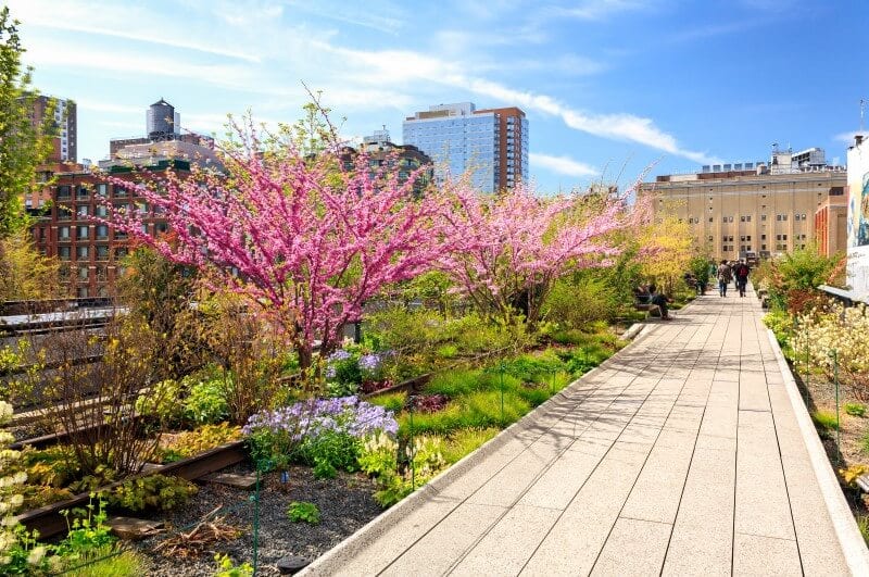 spring blooms on the highline