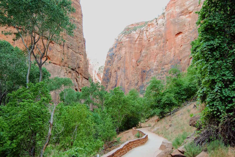 paved hiking path in zion