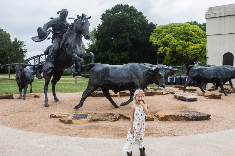 savannah in front of bull sculptures
