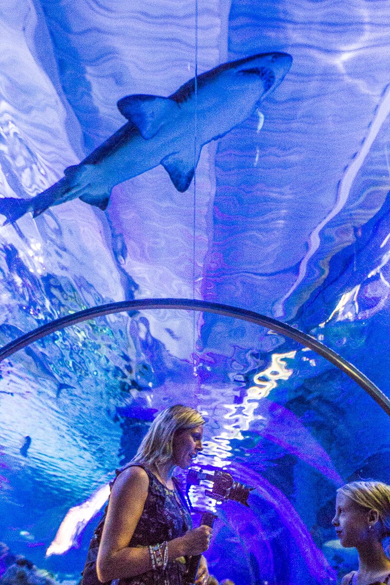 Sea Life aquarium at Mall of America in Bloomington, Minnesota