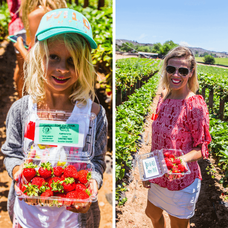Tanaka Farms Strawberry Tour in Irvine. One of the best things to do in Orange County with kids