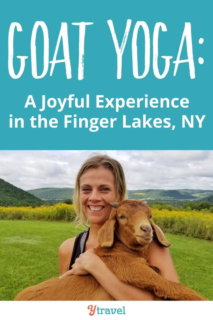 Goat yoga is a suprisingly joyful thing to do. I experience Goat Yoga in the Finger Lakes district of New York state. Click to read more