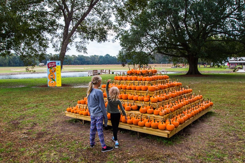 two girls standing in front of a pumpkin pyramid