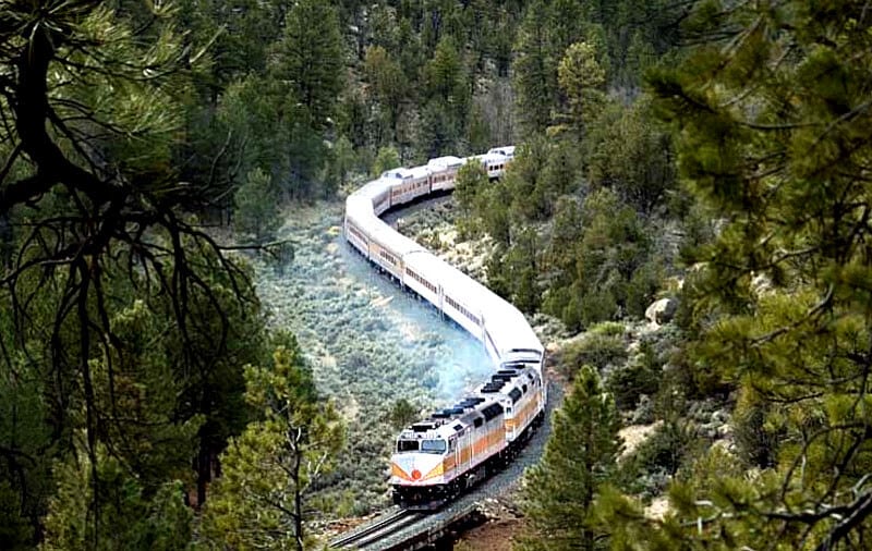 grand canyon train going through forest