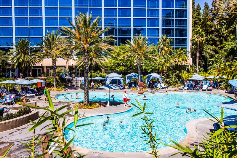 people swimmingin the Disneyland hotel Anaheim pool surrounded by palm trees