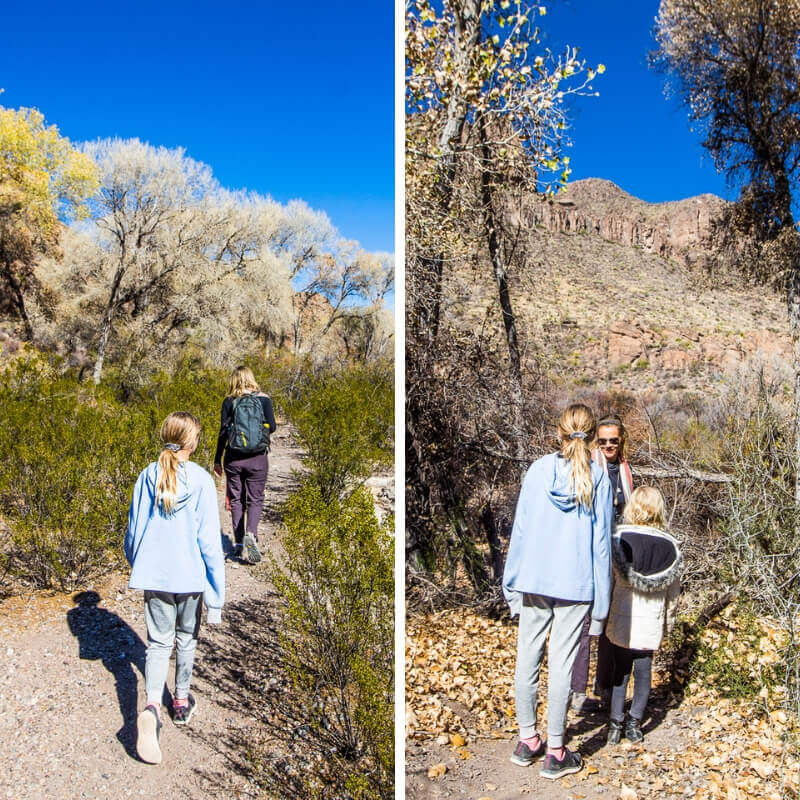 family hiking on cottonwood tree lined path