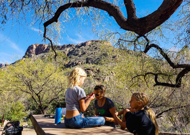 people sitting on a picnic table underneath a tree