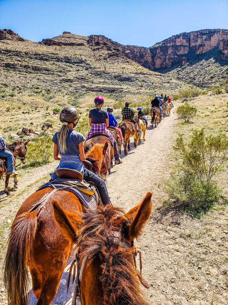 Horse Riding Red Rock Canyon
