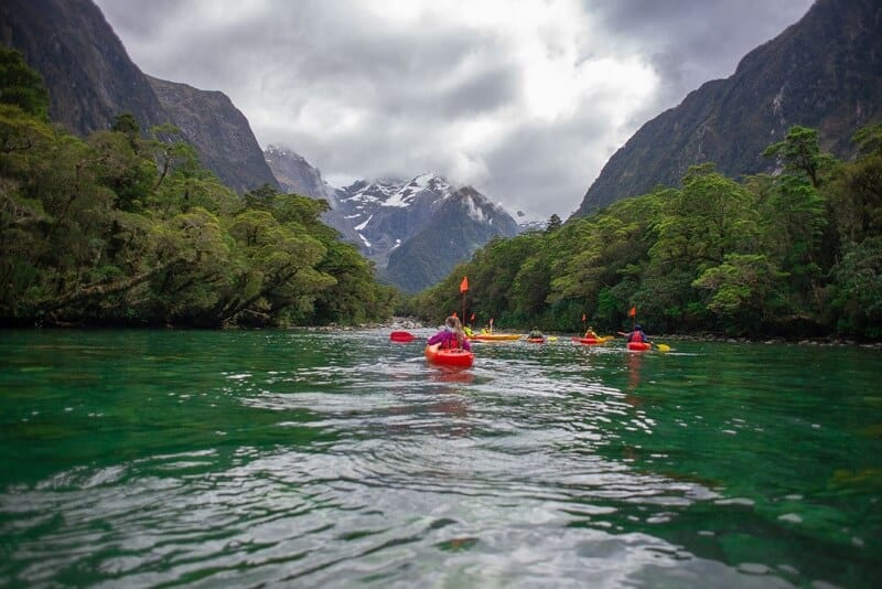 people kayaking the Milford Sound, NZ