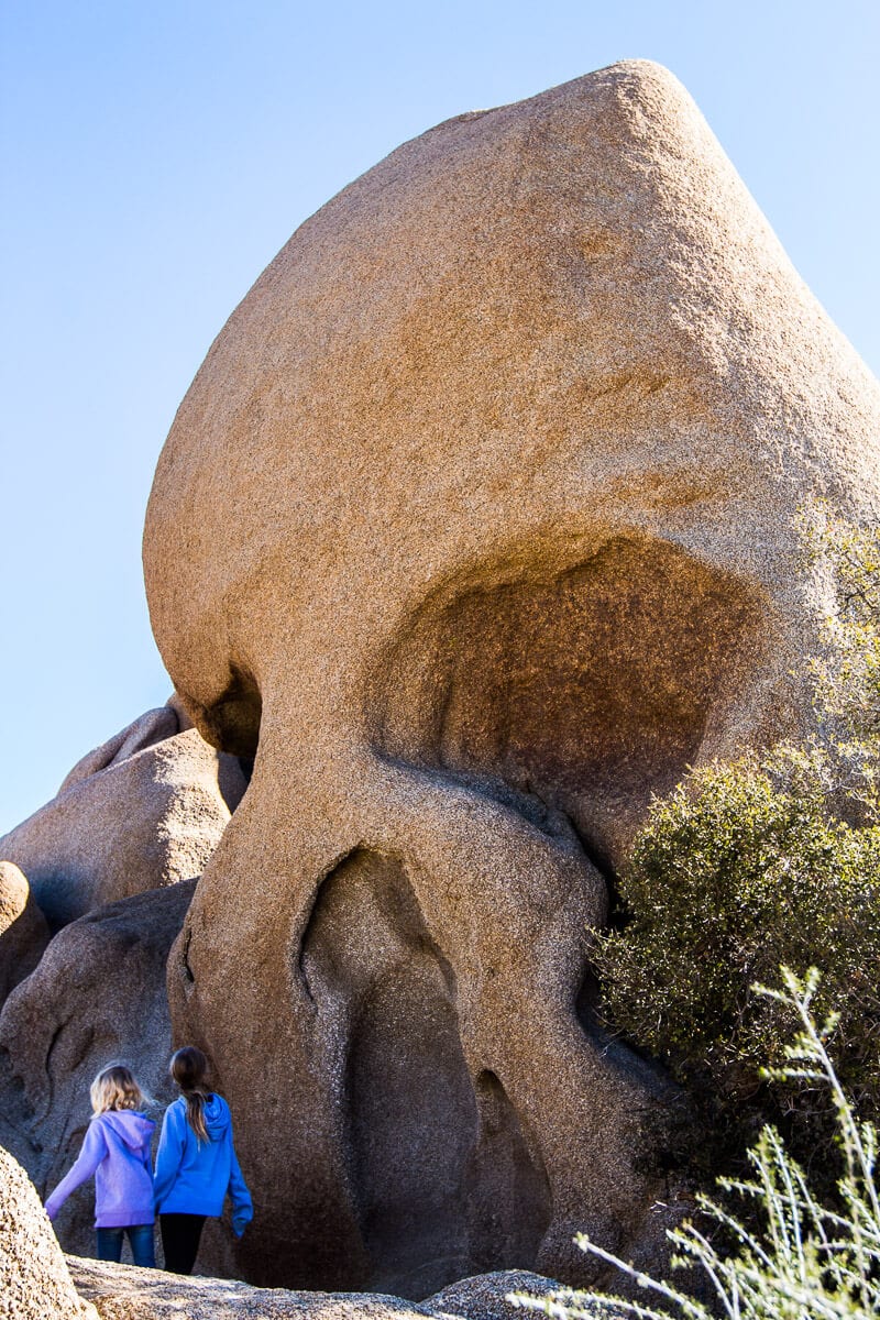 Skull Rock, Joshua Tree National Park
